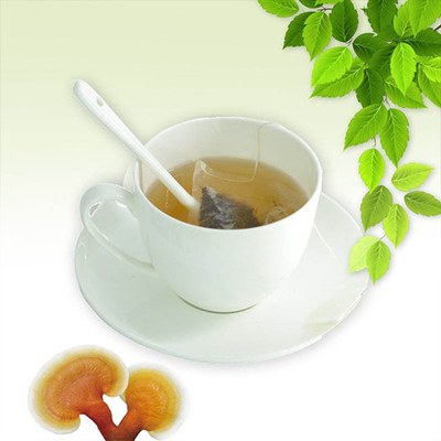 OEM Ganoderma Lucidum Mushroom Lingzhi Зеленый чай в пакетиках Мгновенный травяной детокс-чай для здоровья